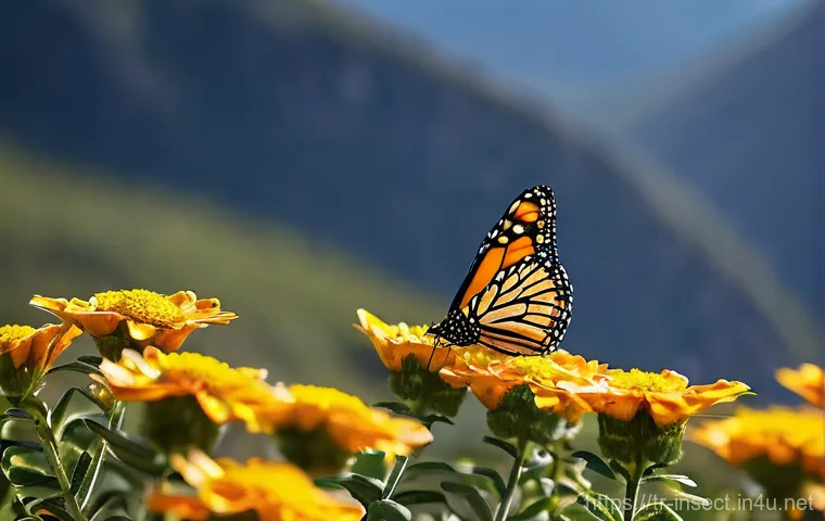 곤충 관련 학술 대회 정보 - **Prompt:** A close-up, highly detailed shot of a vibrant, healthy-looking monarch butterfly, its wi...